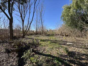 LOTE DE 450 m² EN COLONIA ENSAYO | LISTO PARA ESCRITURAR