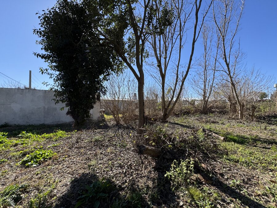 LOTE DE 450 m² EN COLONIA ENSAYO | LISTO PARA ESCRITURAR