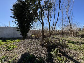 LOTE DE 450 m² EN COLONIA ENSAYO | LISTO PARA ESCRITURAR