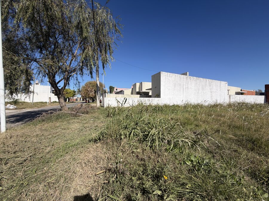 TERRENO DE 600 m² CON EDIFICACIÓN | SAN BENITO | LISTO PARA ESCRITURAR