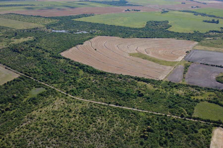 🌾 CAMPO DE 119,5 HECTÁREAS | GOBERNADOR SOLÁ