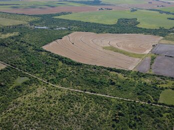 🌾 CAMPO DE 119,5 HECTÁREAS | GOBERNADOR SOLÁ