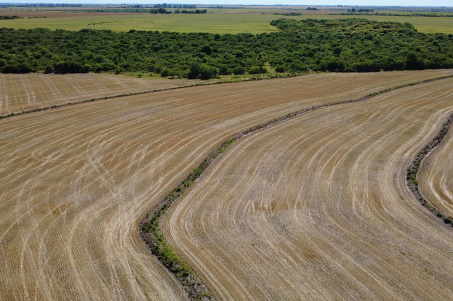 🌾 CAMPO DE 119,5 HECTÁREAS | GOBERNADOR SOLÁ