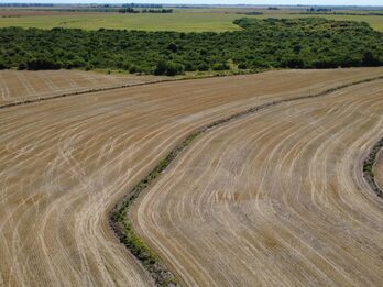 🌾 CAMPO DE 119,5 HECTÁREAS | GOBERNADOR SOLÁ