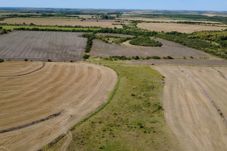🌾 CAMPO DE 119,5 HECTÁREAS | GOBERNADOR SOLÁ