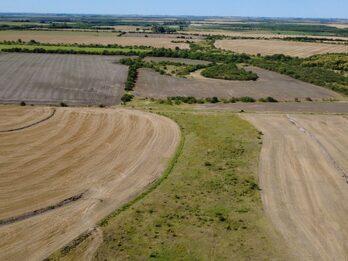 🌾 CAMPO DE 119,5 HECTÁREAS | GOBERNADOR SOLÁ