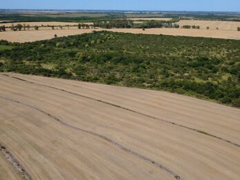 🌾 CAMPO DE 119,5 HECTÁREAS | GOBERNADOR SOLÁ