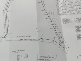 🌾 CAMPO DE 119,5 HECTÁREAS | GOBERNADOR SOLÁ