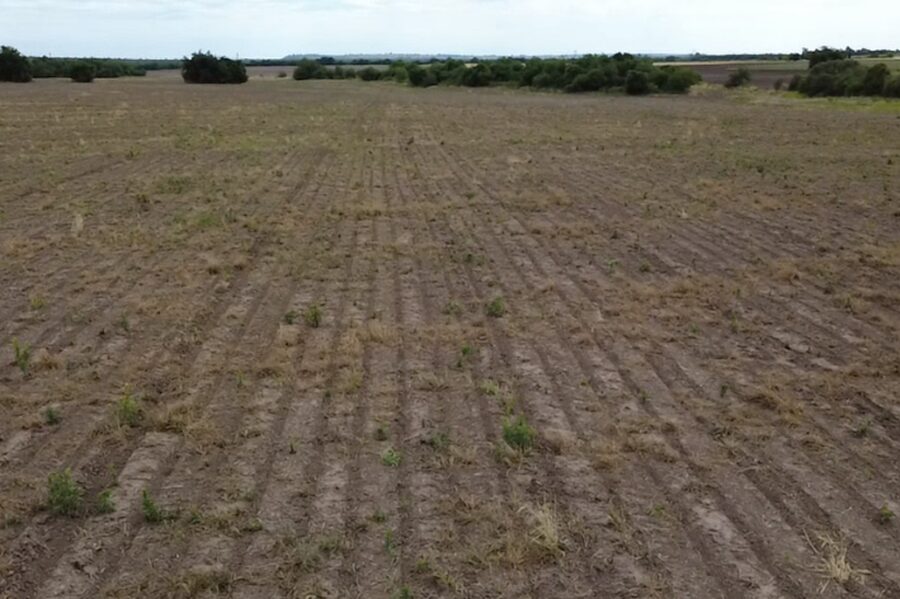🌾 CAMPO DE 10 HECTÁREAS | ZONA ACCESO NORTE - COLONIA AVELLANEDA