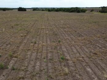 🌾 CAMPO DE 10 HECTÁREAS | ZONA ACCESO NORTE - COLONIA AVELLANEDA