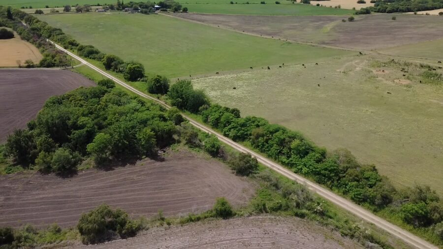 🌾 CAMPO DE 10 HECTÁREAS | ZONA ACCESO NORTE - COLONIA AVELLANEDA