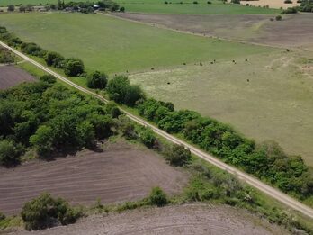 🌾 CAMPO DE 10 HECTÁREAS | ZONA ACCESO NORTE - COLONIA AVELLANEDA