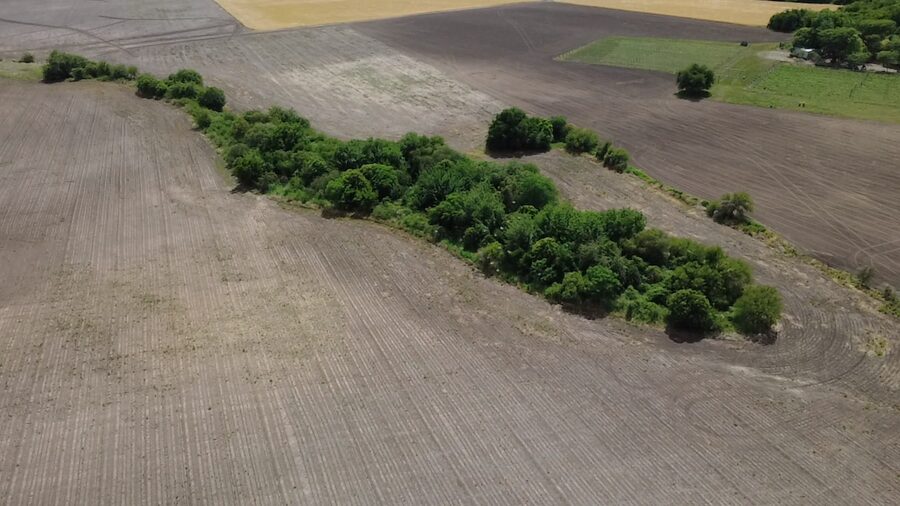 🌾 CAMPO DE 10 HECTÁREAS | ZONA ACCESO NORTE - COLONIA AVELLANEDA