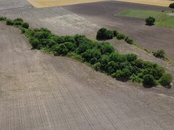 🌾 CAMPO DE 10 HECTÁREAS | ZONA ACCESO NORTE - COLONIA AVELLANEDA