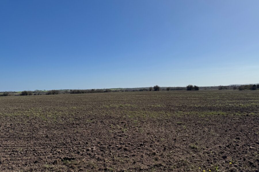 🌾 CAMPO DE 10 HECTÁREAS | ZONA ACCESO NORTE - COLONIA AVELLANEDA