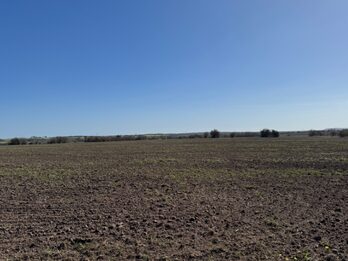 🌾 CAMPO DE 10 HECTÁREAS | ZONA ACCESO NORTE - COLONIA AVELLANEDA