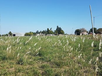 AMPLIO TERRENO EN Aldea Spatzenkutter