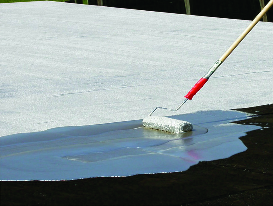 Membrana Liquida con Caucho. Nogocaucho