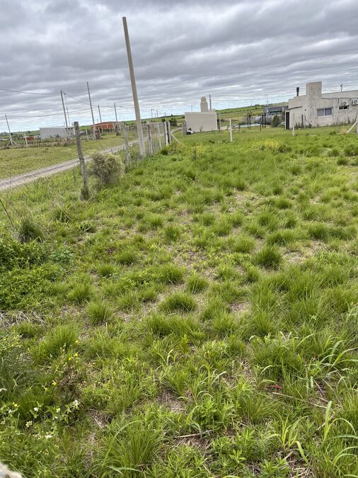 Particular vende Terreno 480 metros
