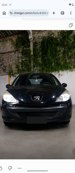 Peugeot 207 mod. 2009 XR 1.4 (5 puertas)