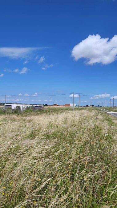 DOS LOTES EN VENTA | TIERRA ALTA 1 – COLONIA ENSAYO
