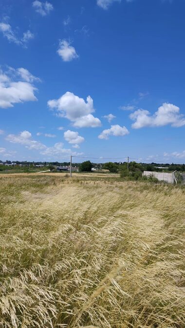 DOS LOTES EN VENTA | TIERRA ALTA 1 – COLONIA ENSAYO