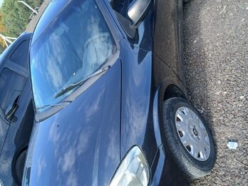 Suzuki Fun 1.4