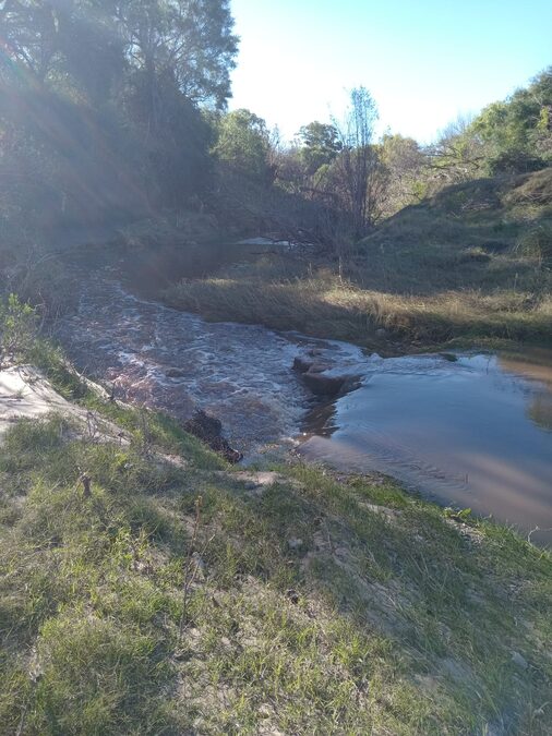 15 hectáreas de campo,ubicado en calle René Favaloro de Sauce Montrul