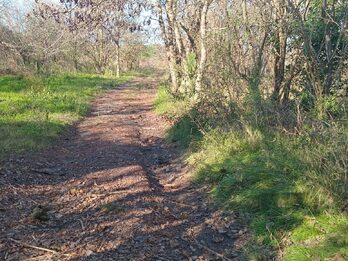 15 hectáreas de campo,ubicado en calle René Favaloro de Sauce Montrul