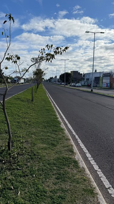 TERRENOS EXCLUSIVOS EN ZONA SUR DE PARANÁ, AV DE LAS AMÉRICAS.