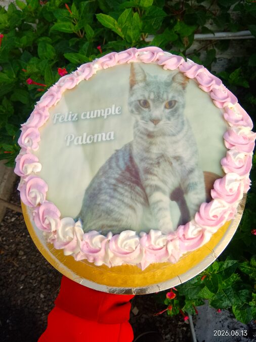 Tortas caseras para cumpleaños