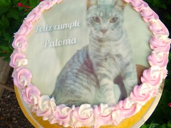 Tortas caseras para cumpleaños