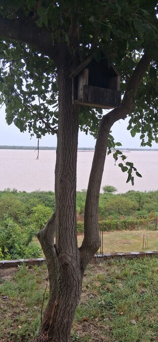 Casa con exelente vista al río Paraná