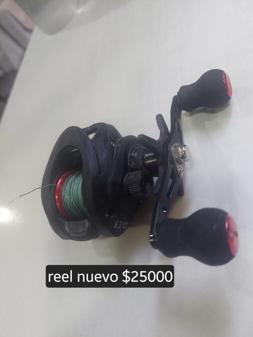 Vendo todo