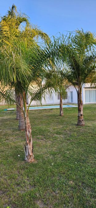 Hermosa quinta en Las Acacias