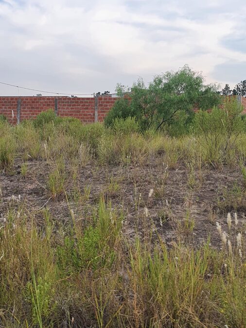 OPORTUNIDAD DUEÑO VENDE  LOTE EN ALTOS DEL PARACAO I