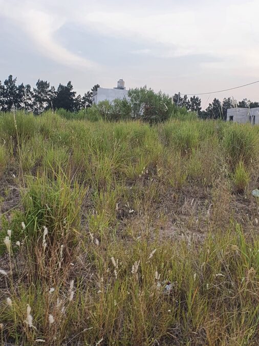OPORTUNIDAD DUEÑO VENDE  LOTE EN ALTOS DEL PARACAO I
