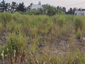 OPORTUNIDAD DUEÑO VENDE  LOTE EN ALTOS DEL PARACAO I
