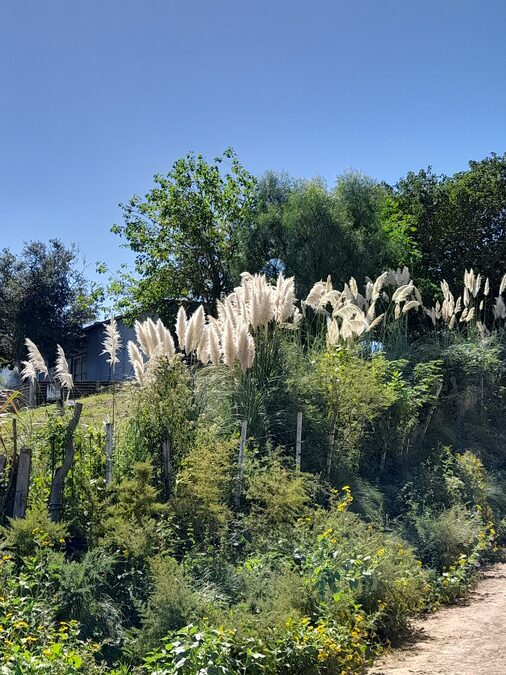 Casa con exelente vista al río Paraná
