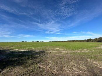 EN VENTA CAMPO MIXTO 70 HAS EN SANTA ELENA CON MEJORAS