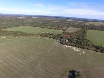 EN VENTA CAMPO MIXTO 70 HAS EN SANTA ELENA CON MEJORAS