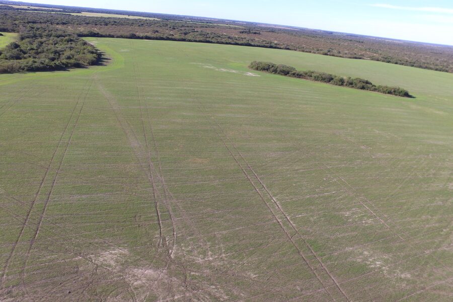 EN VENTA CAMPO MIXTO 70 HAS EN SANTA ELENA CON MEJORAS