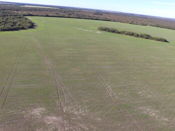 EN VENTA CAMPO MIXTO 70 HAS EN SANTA ELENA CON MEJORAS