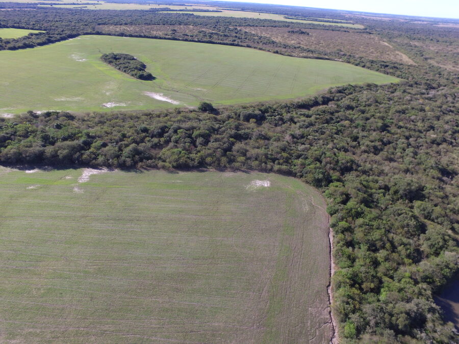 EN VENTA CAMPO MIXTO 70 HAS EN SANTA ELENA CON MEJORAS