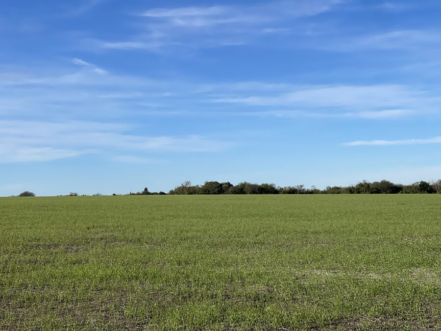 EN VENTA CAMPO MIXTO 70 HAS EN SANTA ELENA CON MEJORAS