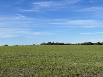EN VENTA CAMPO MIXTO 70 HAS EN SANTA ELENA CON MEJORAS