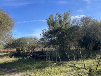 EN VENTA CAMPO MIXTO 70 HAS EN SANTA ELENA CON MEJORAS