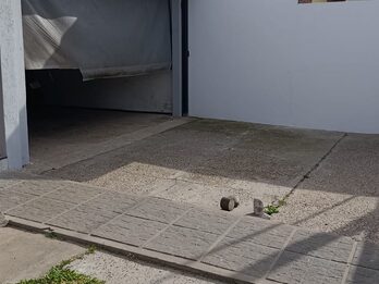 🏡 Casa 3 dorm | Quincho | Cochera x3 | Zona Chango Más – U$D 118.000 APTA CRÉDITO
