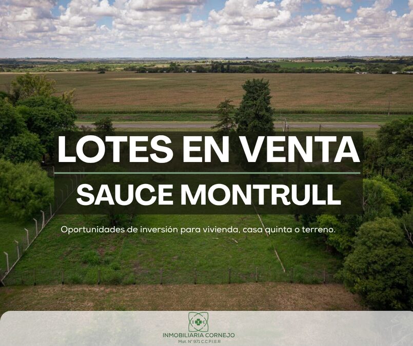 LOTES EN VENTA - SAUCE MONTRULL