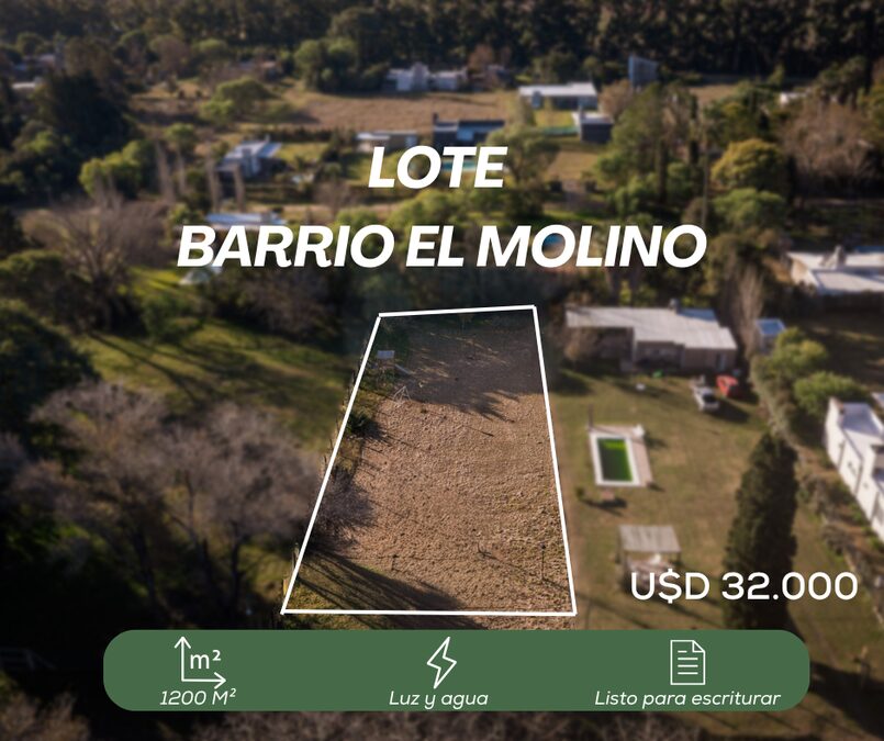 LOTES EN VENTA - SAUCE MONTRULL